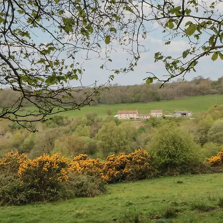 Mole End Tatil Evi York