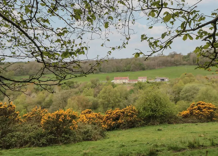 Mole End Casa vacanze York